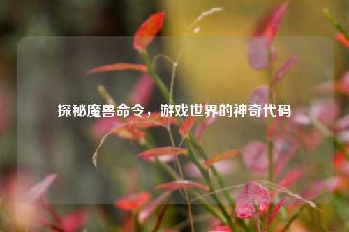 探秘魔兽命令，游戏世界的神奇代码