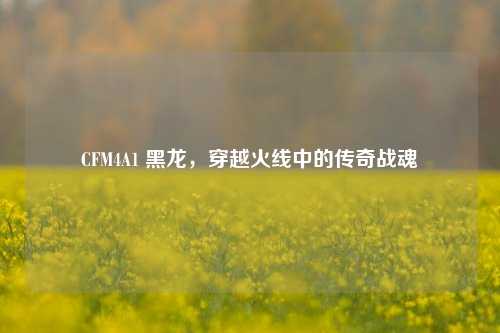 CFM4A1 黑龙，穿越火线中的传奇战魂