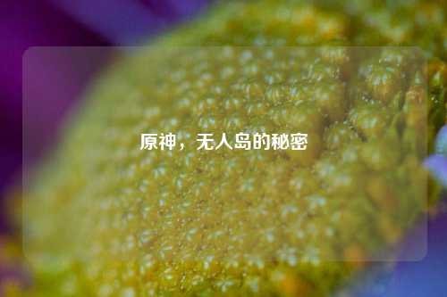 原神，无人岛的秘密