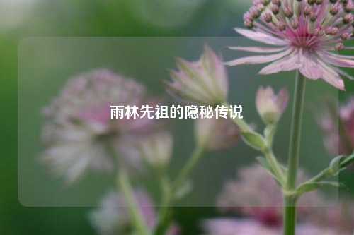 雨林先祖的隐秘传说
