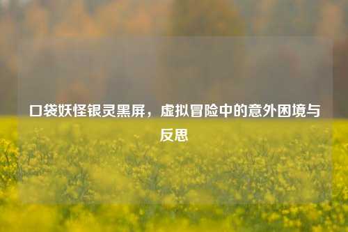 口袋妖怪银灵黑屏，虚拟冒险中的意外困境与反思