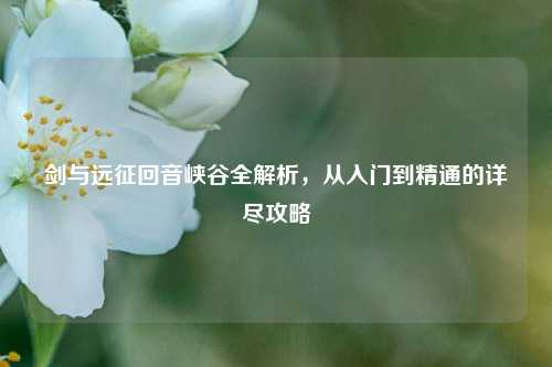剑与远征回音峡谷全解析，从入门到精通的详尽攻略