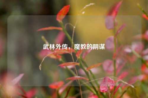武林外传，魔教的阴谋