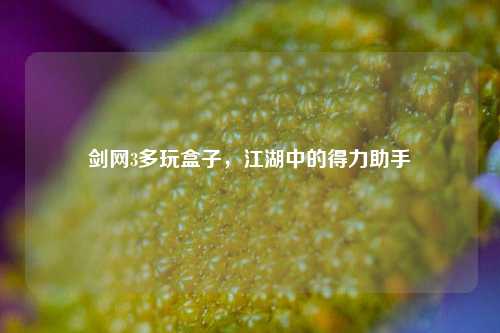 剑网3多玩盒子，江湖中的得力助手