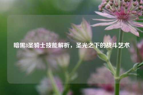 暗黑3圣骑士技能解析，圣光之下的战斗艺术