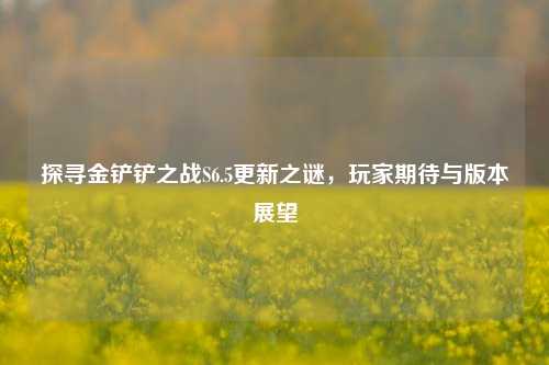探寻金铲铲之战S6.5更新之谜，玩家期待与版本展望