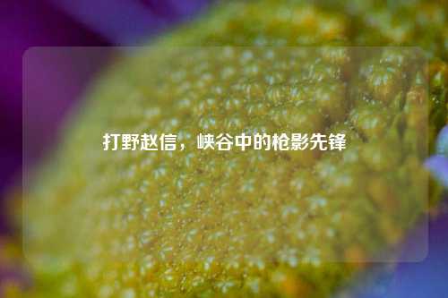 打野赵信，峡谷中的枪影先锋