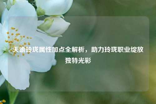 天谕玲珑属性加点全解析，助力玲珑职业绽放独特光彩
