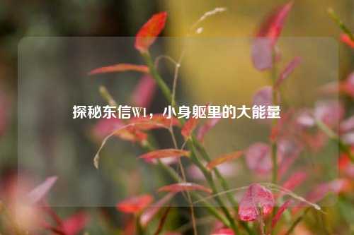 探秘东信W1，小身躯里的大能量
