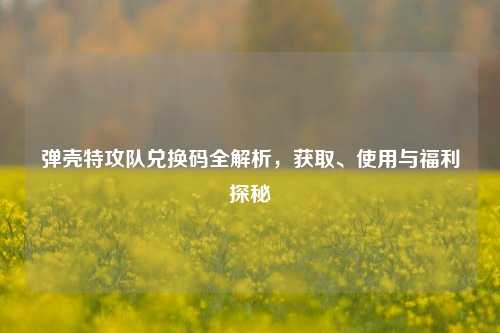 弹壳特攻队兑换码全解析，获取、使用与福利探秘