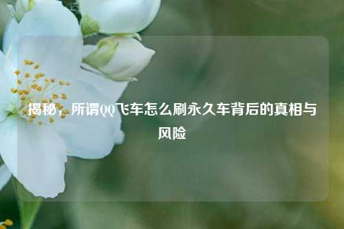 揭秘，所谓QQ飞车怎么刷永久车背后的真相与风险