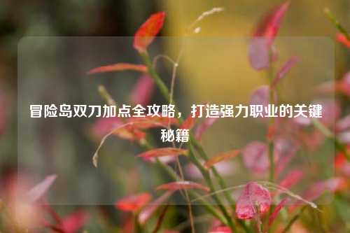 冒险岛双刀加点全攻略，打造强力职业的关键秘籍