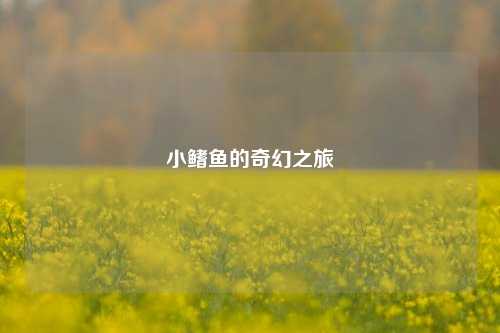 小鳍鱼的奇幻之旅