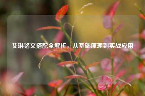 艾琳铭文搭配全解析，从基础原理到实战应用