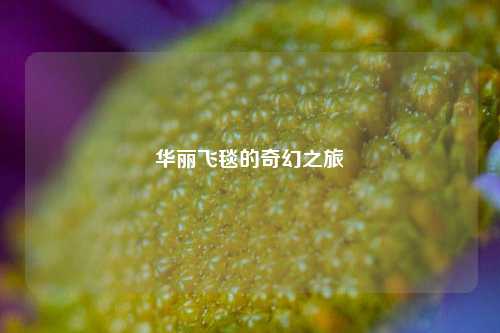 华丽飞毯的奇幻之旅