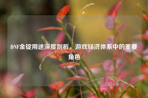 DNF金锭用途深度剖析，游戏经济体系中的重要角色