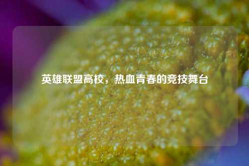 英雄联盟高校，热血青春的竞技舞台