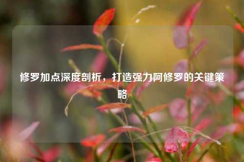 修罗加点深度剖析，打造强力阿修罗的关键策略