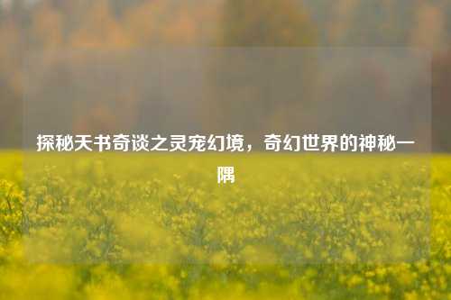 探秘天书奇谈之灵宠幻境，奇幻世界的神秘一隅