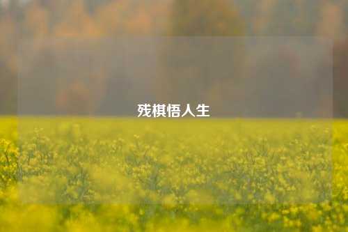 残棋悟人生
