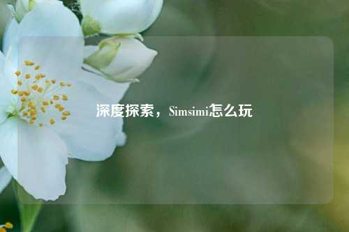 深度探索，Simsimi怎么玩