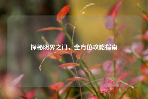 探秘阴界之门，全方位攻略指南
