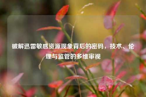 破解迅雷敏感资源现象背后的密码，技术、伦理与监管的多维审视
