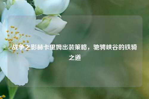 战争之影赫卡里姆出装策略，驰骋峡谷的铁骑之道
