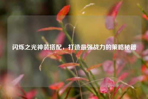 闪烁之光神装搭配，打造最强战力的策略秘籍