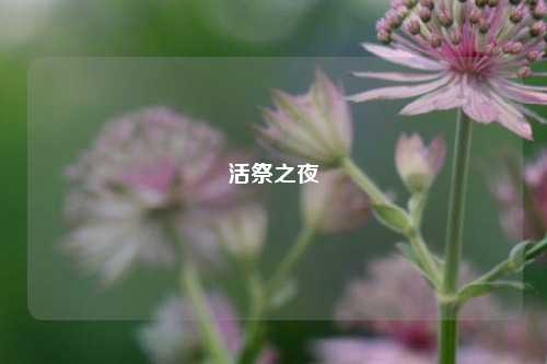 活祭之夜