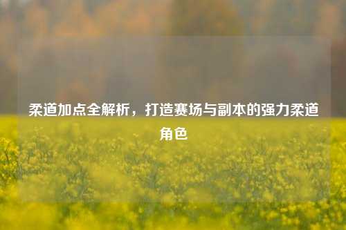 柔道加点全解析，打造赛场与副本的强力柔道角色