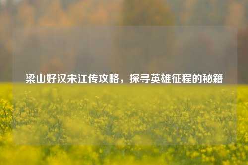梁山好汉宋江传攻略，探寻英雄征程的秘籍