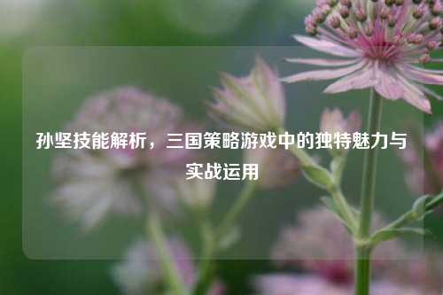 孙坚技能解析，三国策略游戏中的独特魅力与实战运用
