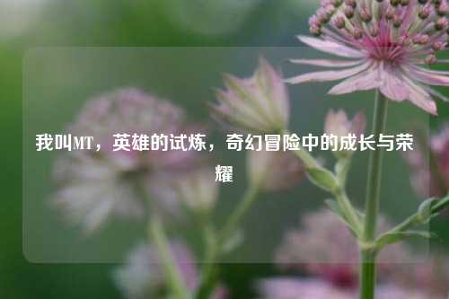 我叫MT，英雄的试炼，奇幻冒险中的成长与荣耀