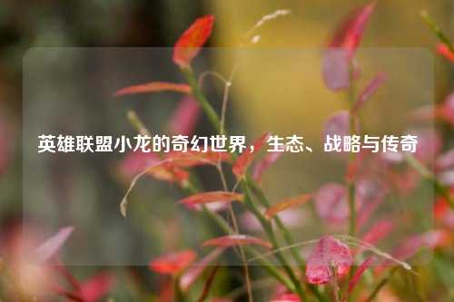 英雄联盟小龙的奇幻世界，生态、战略与传奇