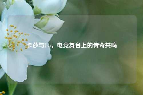 卡莎与Uzi，电竞舞台上的传奇共鸣