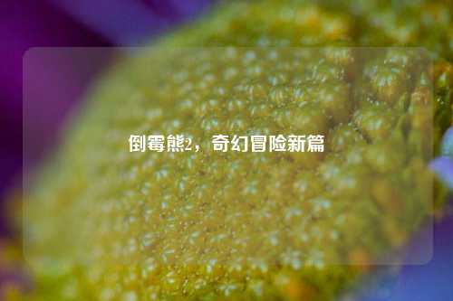 倒霉熊2，奇幻冒险新篇