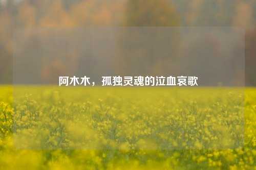 阿木木，孤独灵魂的泣血哀歌