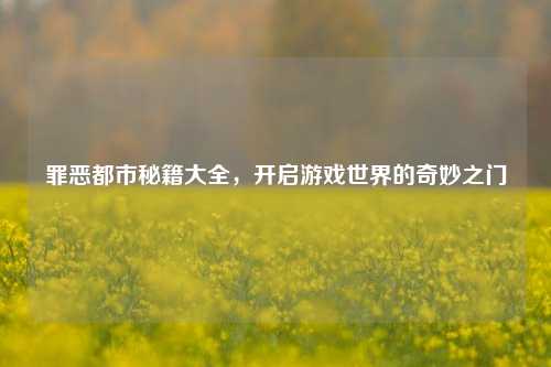 罪恶都市秘籍大全，开启游戏世界的奇妙之门