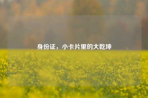 身份证，小卡片里的大乾坤