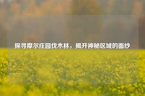 探寻摩尔庄园伐木林，揭开神秘区域的面纱