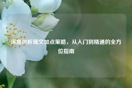 深度剖析瑞文加点策略，从入门到精通的全方位指南