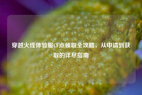 穿越火线体验服CF点领取全攻略，从申请到获取的详尽指南