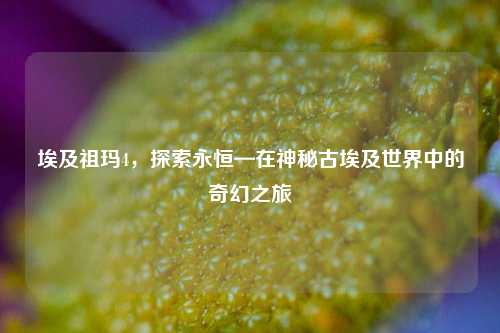 埃及祖玛4，探索永恒—在神秘古埃及世界中的奇幻之旅