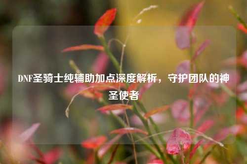 DNF圣骑士纯辅助加点深度解析，守护团队的神圣使者