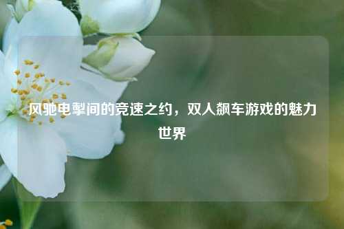 风驰电掣间的竞速之约，双人飙车游戏的魅力世界