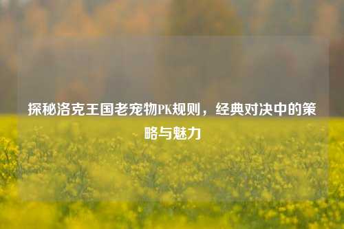 探秘洛克王国老宠物PK规则，经典对决中的策略与魅力