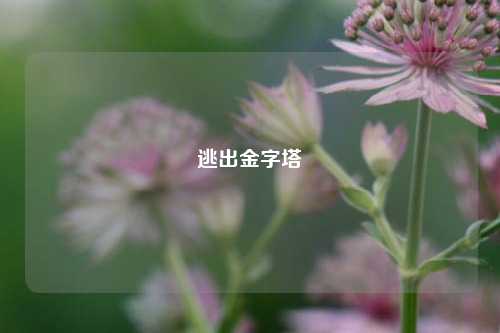 逃出金字塔