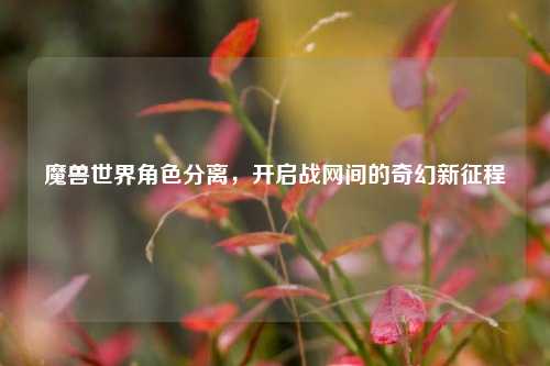 魔兽世界角色分离，开启战网间的奇幻新征程
