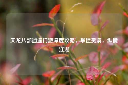天龙八部逍遥门派深度攻略，掌控灵溪，纵横江湖